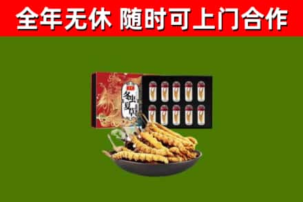 内江市烟酒回收冬虫夏草礼盒.jpg